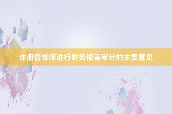 注册管帐师进行财务报表审计的主要意见