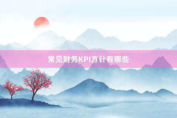 常见财务KPI方针有哪些
