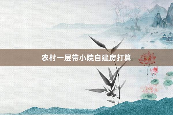 农村一层带小院自建房打算